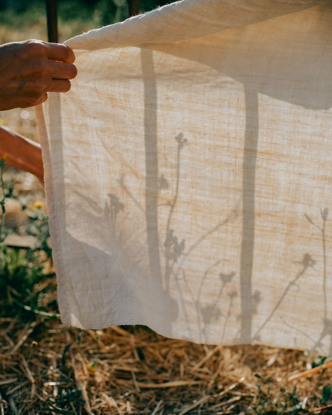 Botanically Printed Textiles