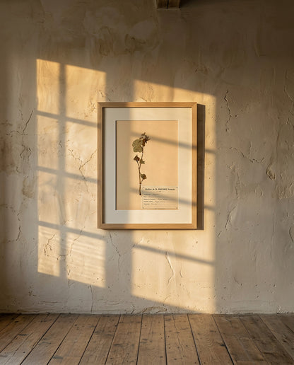 The Aix-en-Provence Suite