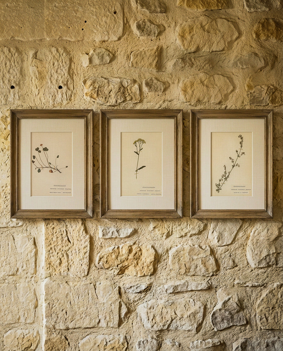 The Lourmarin Suite