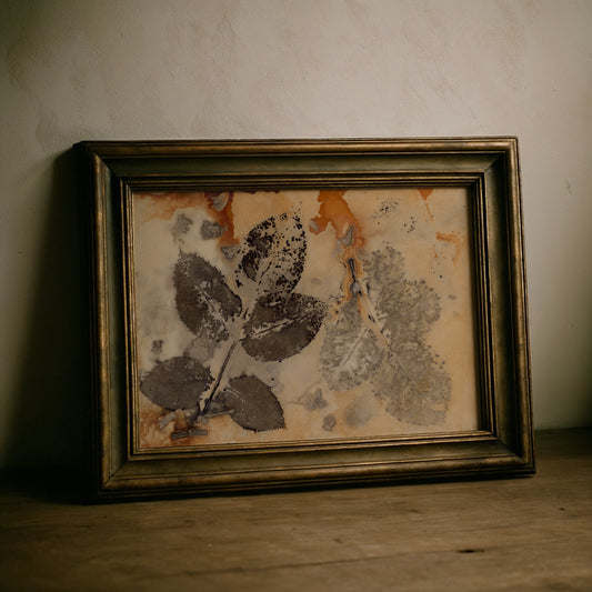 Echoes in Paper Nº 6